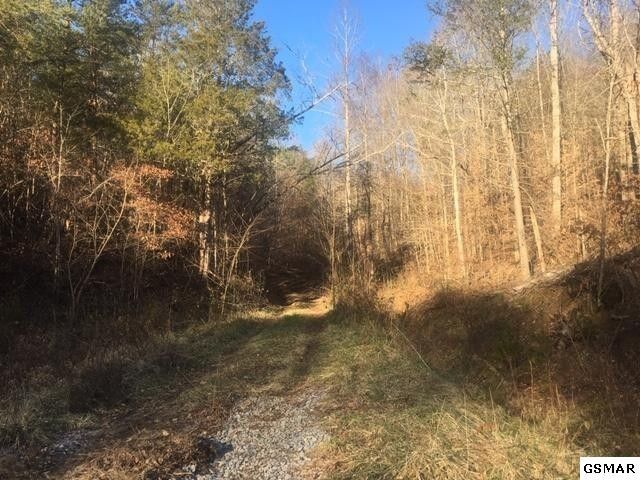 4 Sharp Rd 4LOTS, Sevierville, TN 37876