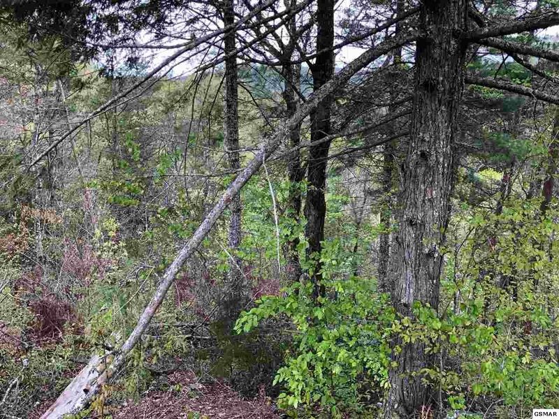 6 River Birch Way Lot 6, Sevierville, TN 37862