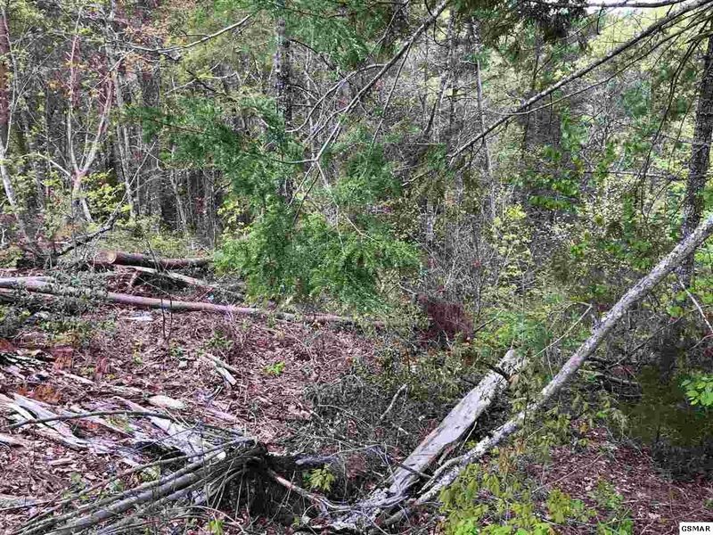 6 River Birch Way Lot 6, Sevierville, TN 37862