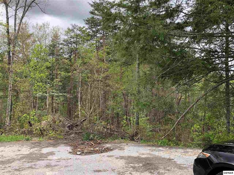 6 River Birch Way Lot 6, Sevierville, TN 37862