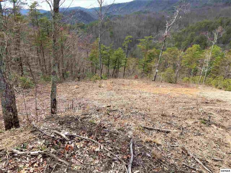 173 Smoky Bluff Trl Lot 173, Sevierville, TN 37862