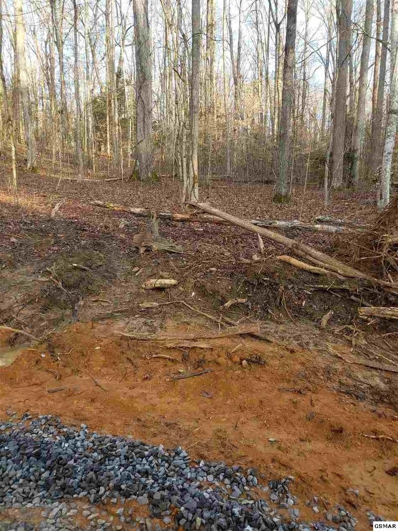 0 Lot Murphy Farm Way Lot 48, Sevierville, TN 37876