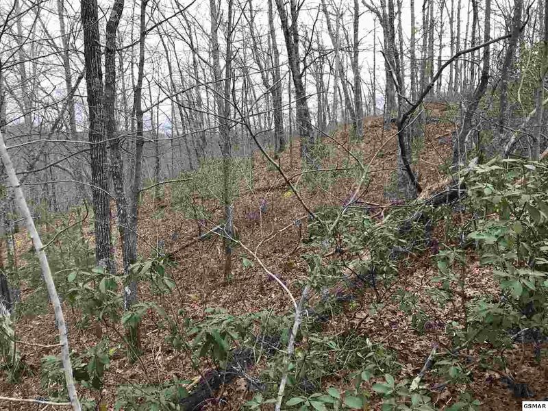 13 Misty Ct Lot 13, Sevierville, TN 37862