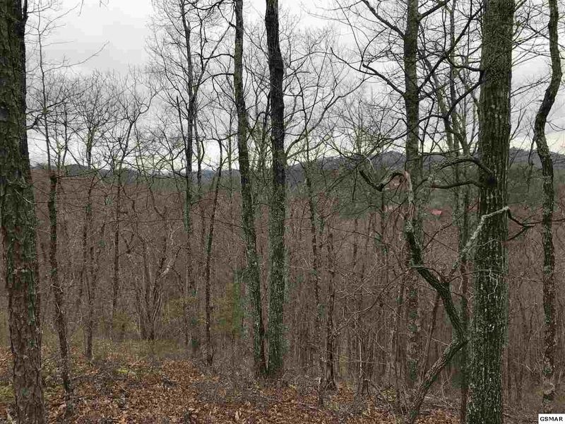 13 Misty Ct Lot 13, Sevierville, TN 37862