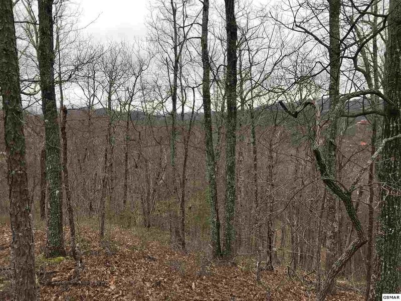 13 Misty Ct Lot 13, Sevierville, TN 37862