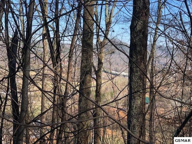0 Wilderness Mountain Rd Lot 2, Sevierville, TN 37862