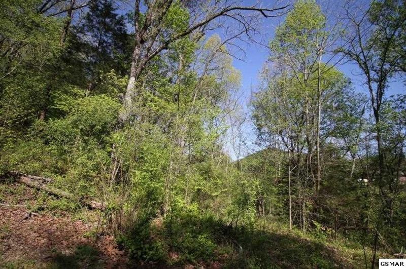 0 Sandy Pointe Ln Lot 66&67, Sevierville, TN 37876