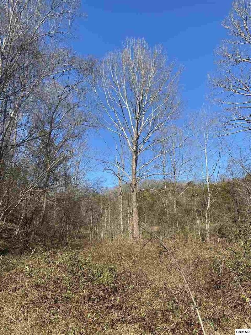 6162 Beverly Hills Dr Lot 6R1&6R2, Sevierville, TN 37862