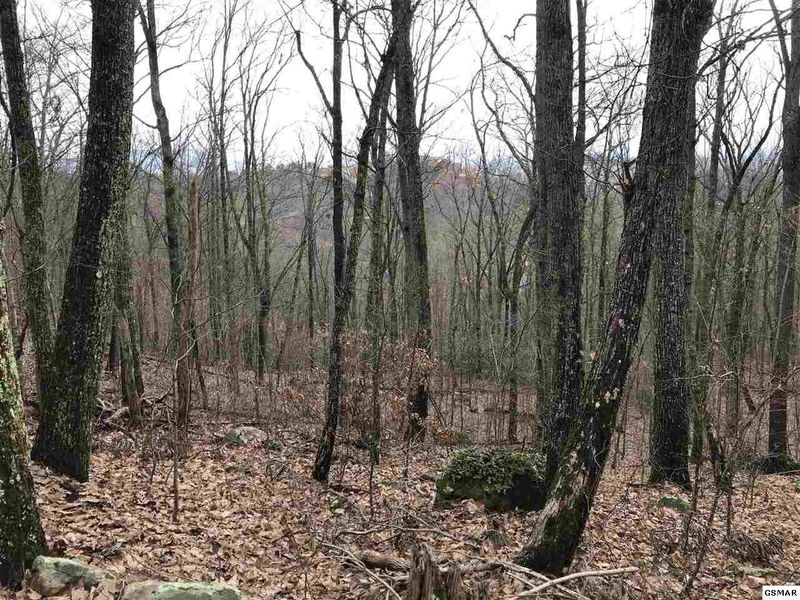0 Hideaway Way Lot 19, Sevierville, TN 37876