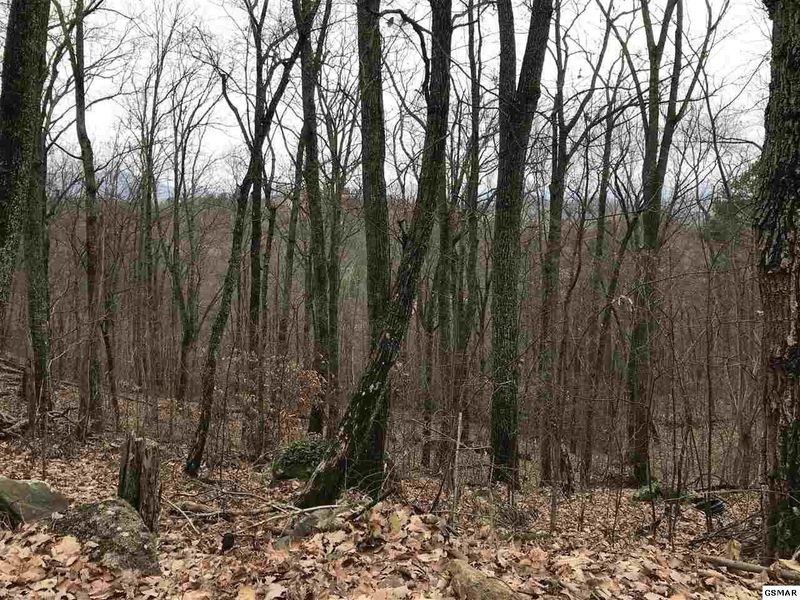 0 Hideaway Way Lot 19, Sevierville, TN 37876