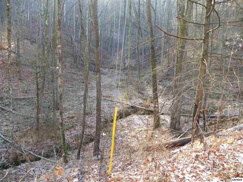 259 Lones Branch Ln, Sevierville, TN 37876