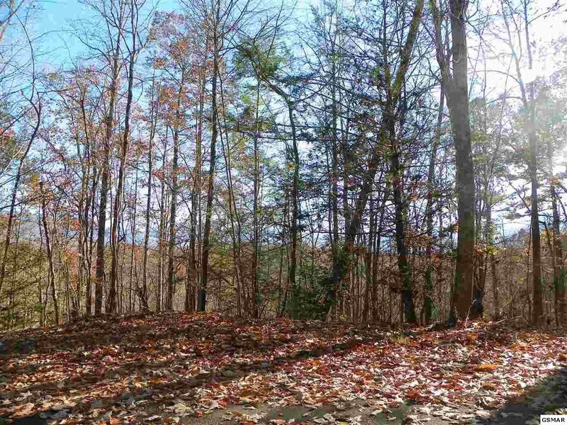2506 Treehouse Ln Lot 31, Sevierville, TN 37876