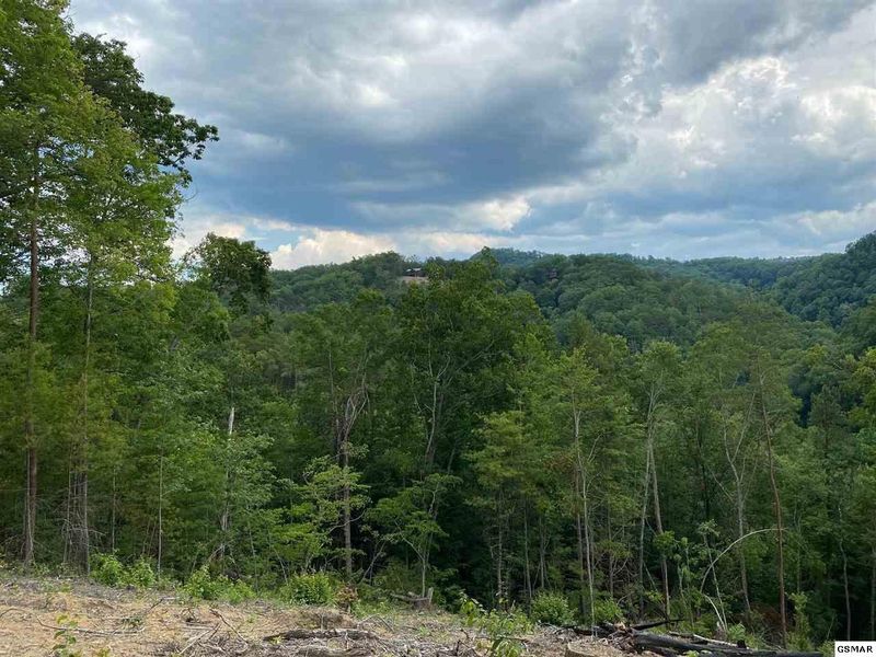 14 Turkey Creek Way, Sevierville, TN 37862