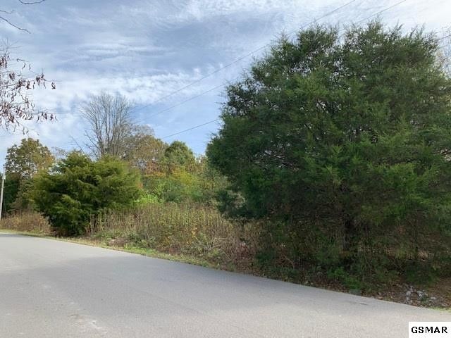 1 Allenridge Dr Lot 1, Sevierville, TN 37876