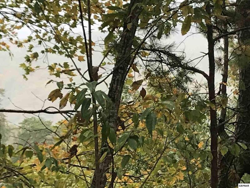 1 Red Bone Way Lot 1AC, Sevierville, TN 37876