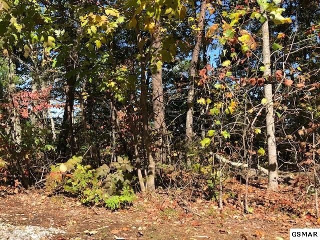37 Scenic Woods Way Lot 37, Sevierville, TN 37862