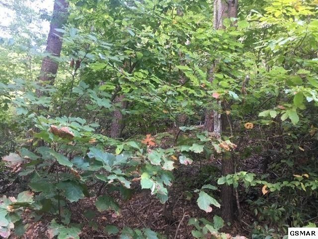 8 Waldens Creek Rd Lot 8, Sevierville, TN 37876