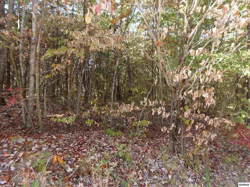 0 Eagle Ridge Rd Lot 57, Maryville, TN 37803