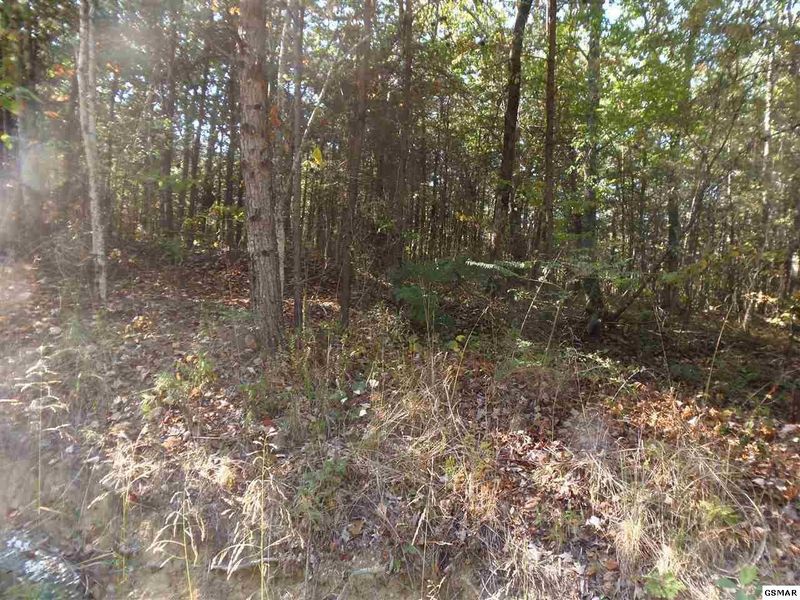 0 Eagle Ridge Rd Lot 57, Maryville, TN 37803