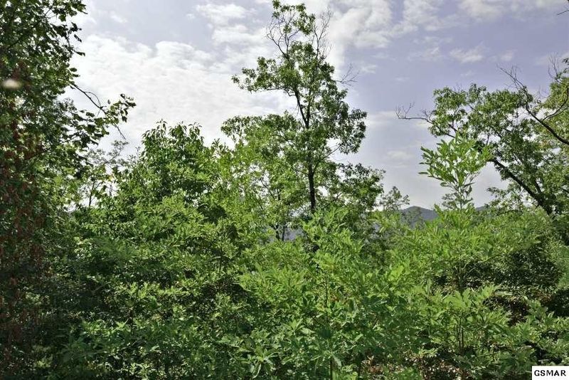 158 Harmony Hill Ln Lot 158-E, Sevierville, TN 37862