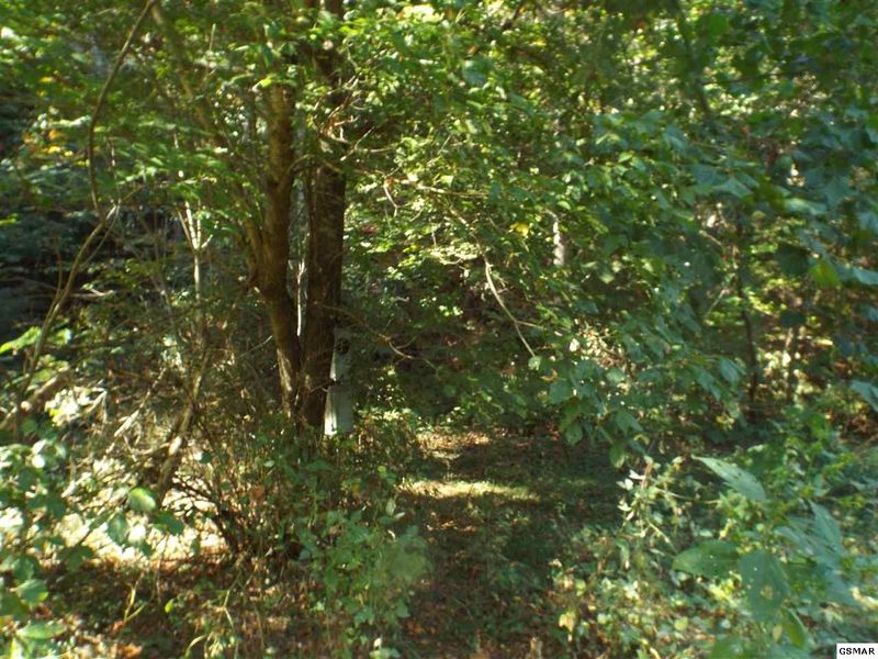 0 Yellow Britches Rd, Sevierville, TN 37876