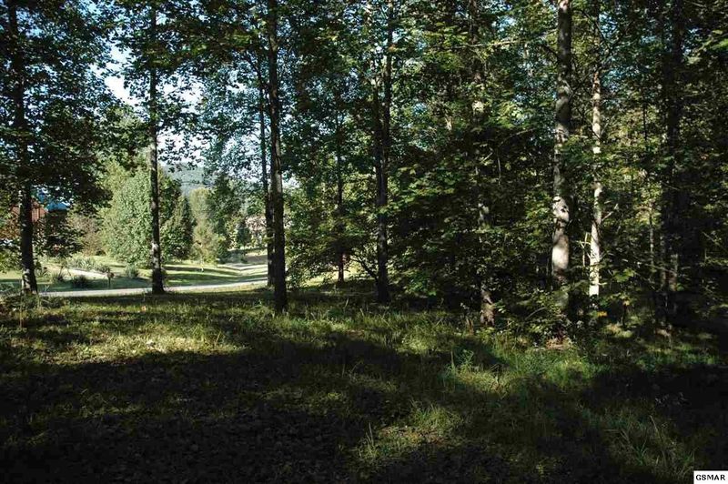 2 Mcclure Ln Lot 2, Sevierville, TN 37862