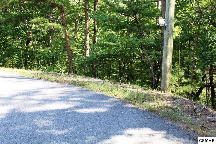 0 Marian Lake Way Lot 22, Sevierville, TN 37862