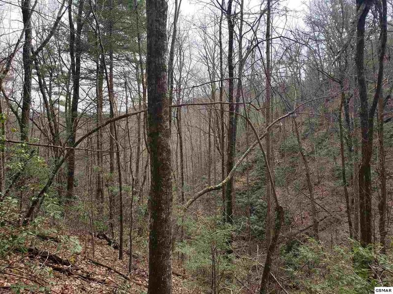 250 John Boy Trl, Sevierville, TN 37876