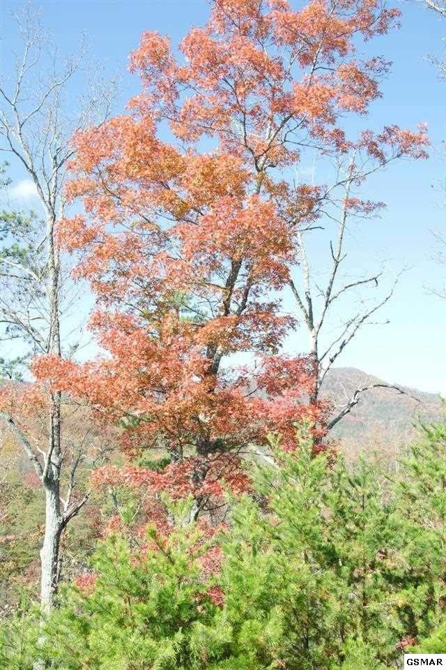 250 John Boy Trl, Sevierville, TN 37876