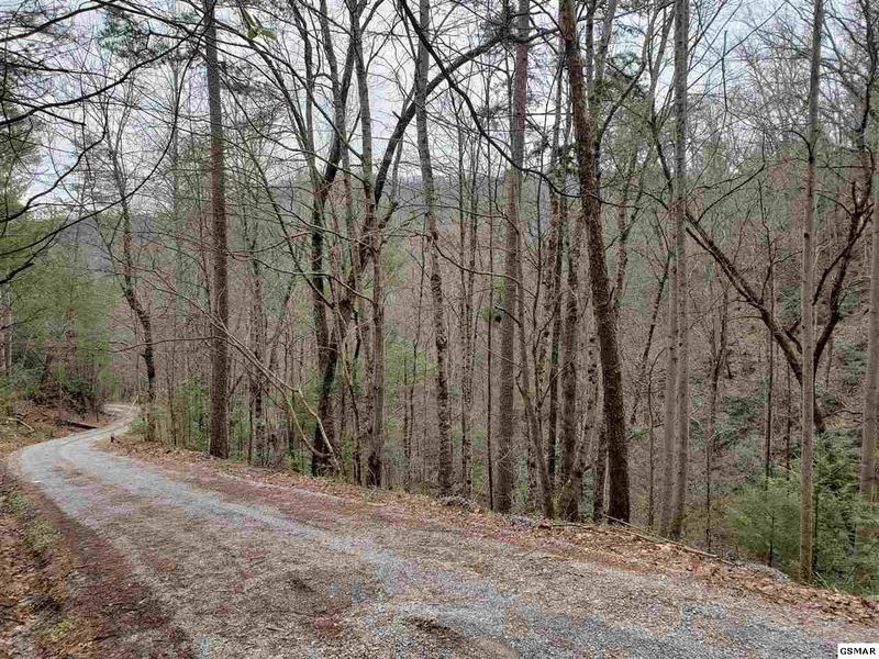 250 John Boy Trl, Sevierville, TN 37876