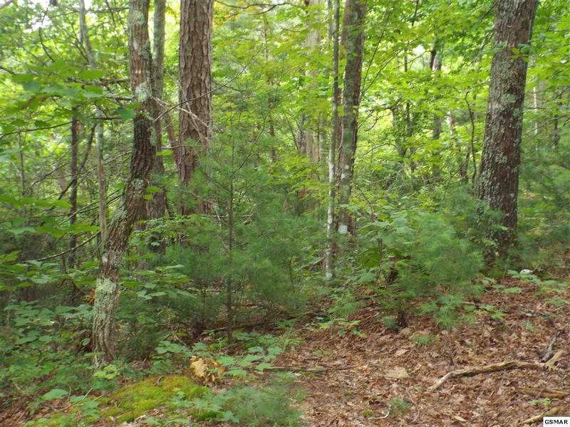 0 Huskey Grove Rd, Sevierville, TN 37876