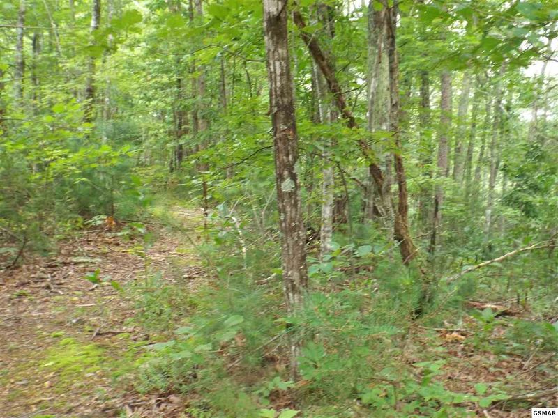 0 Huskey Grove Rd, Sevierville, TN 37876