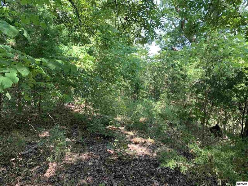 0 Pleasure Rd Lot 10, Sevierville, TN 37876