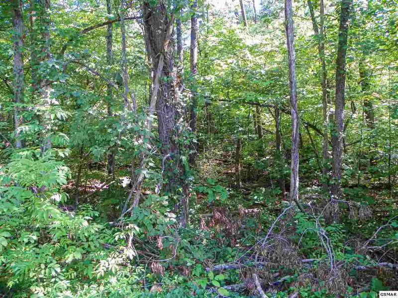 2 Valley Woods Dr Lot 2, Sevierville, TN 37862
