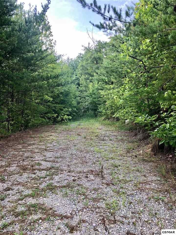0 Lone Ridge Dr Lot 10, Sevierville, TN 37862
