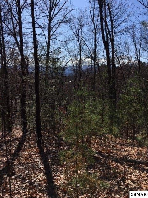 128 Bluff Mtn Rd Lot 128, Sevierville, TN 37862