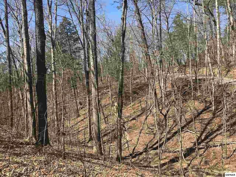 0 Black Oak Ridge Rd Lot 2B, Sevierville, TN 37876