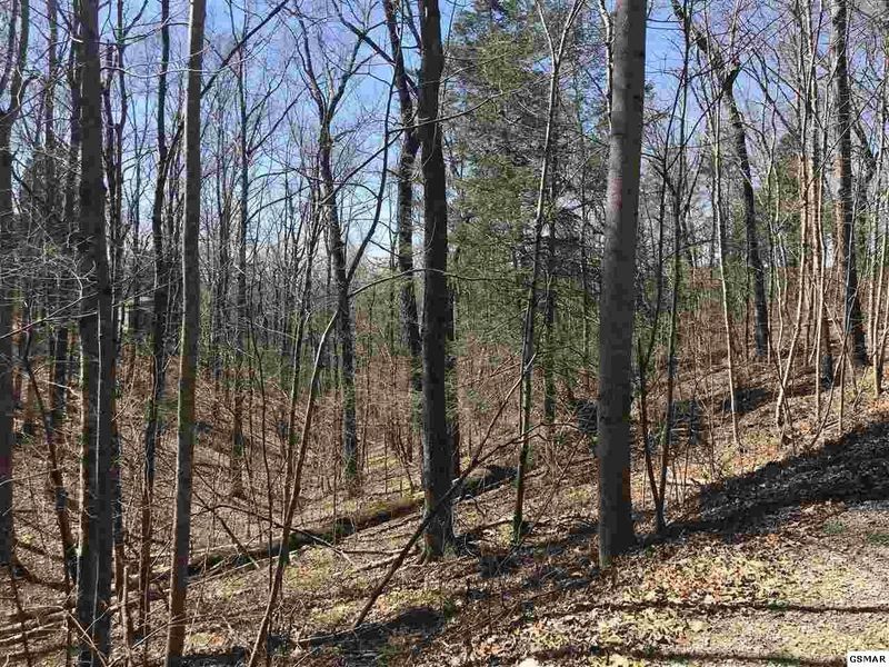0 Black Oak Ridge Rd Lot 2B, Sevierville, TN 37876