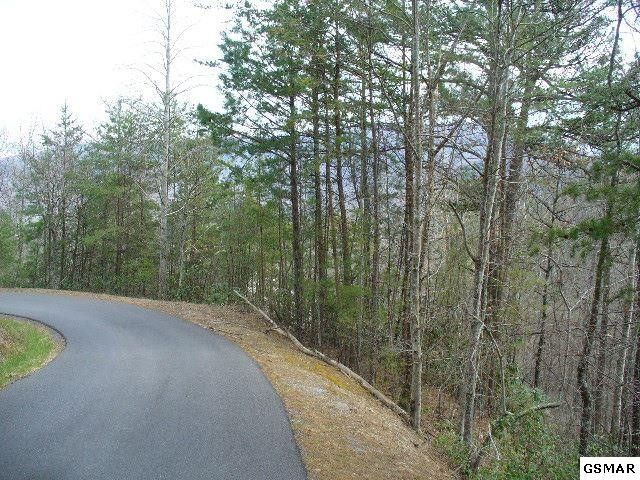10 Wears Overlook Ln Lot 10, Sevierville, TN 37862