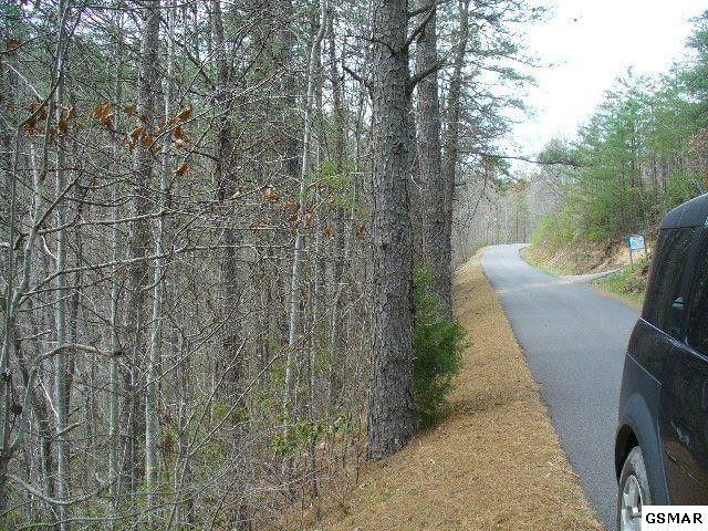 10 Wears Overlook Ln Lot 10, Sevierville, TN 37862