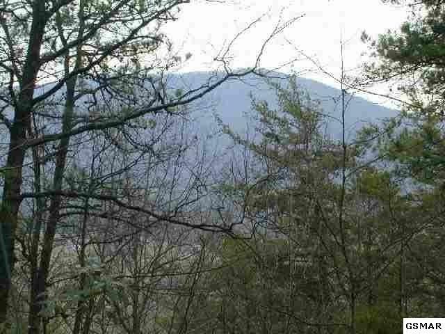10 Wears Overlook Ln Lot 10, Sevierville, TN 37862