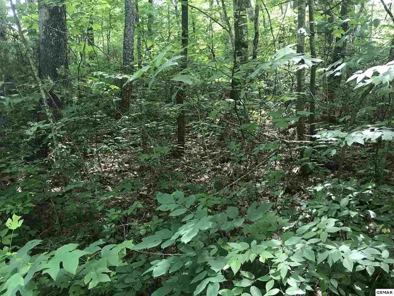 99 Ginseng Way Lot 99, Sevierville, TN 37862