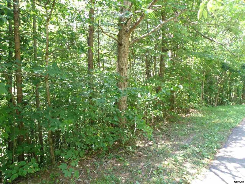 11 Mountain Rest Way Lot 11-C, Sevierville, TN 37876