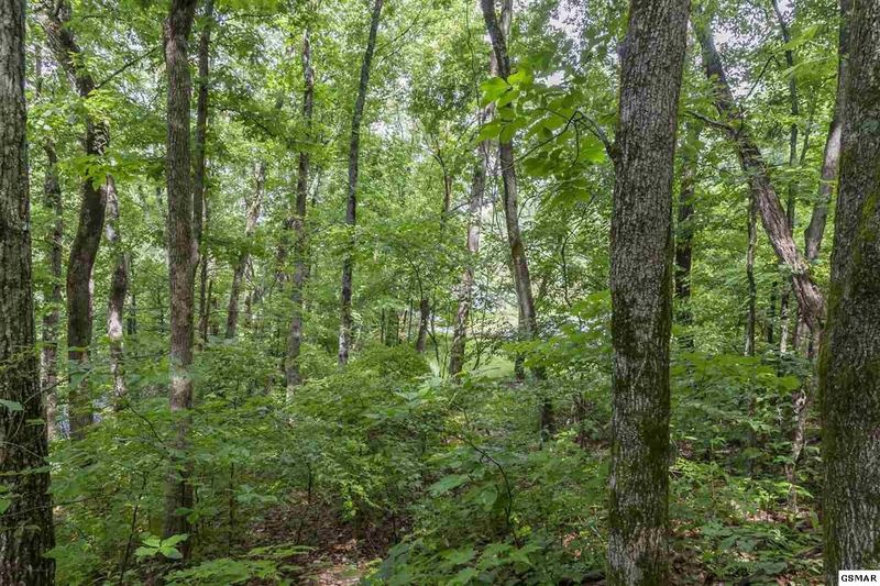 9 Clabo Mtn Way Lot 9, Sevierville, TN 37862