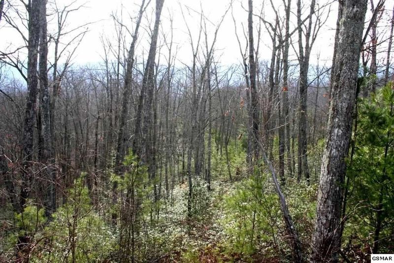 0 Morning Dove Way Lot 36, Sevierville, TN 37862