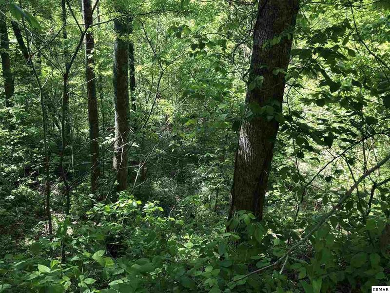 16 Black Oak Dr Lot 16, Sevierville, TN 37876