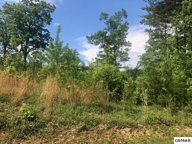 31 Morning Dove Way Lot 31, Sevierville, TN 37862