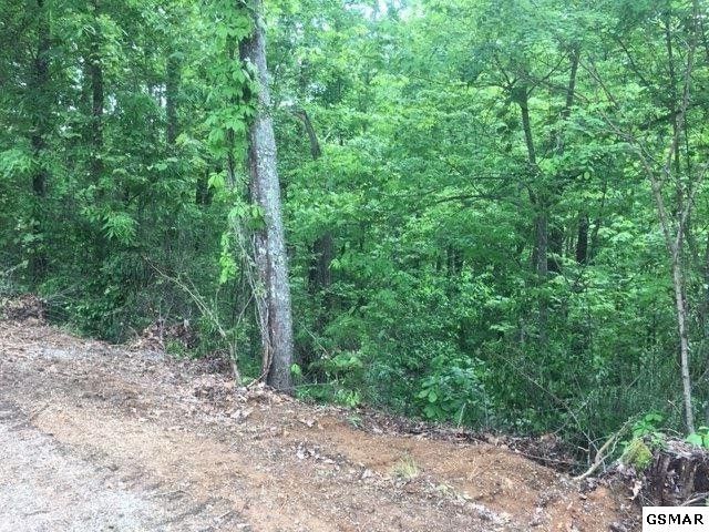 8 Honeysuckle Ln Lot 8, Sevierville, TN 37876