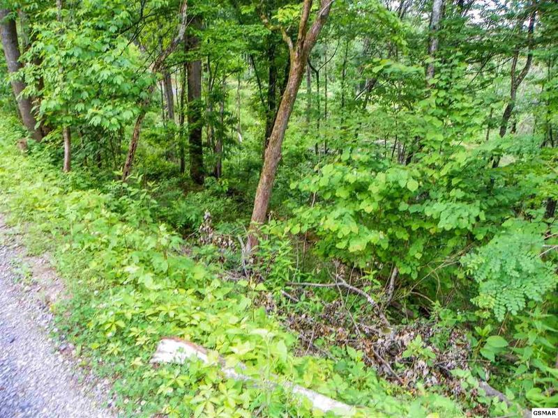 32 Sourwood Way Lot 32, Sevierville, TN 37862