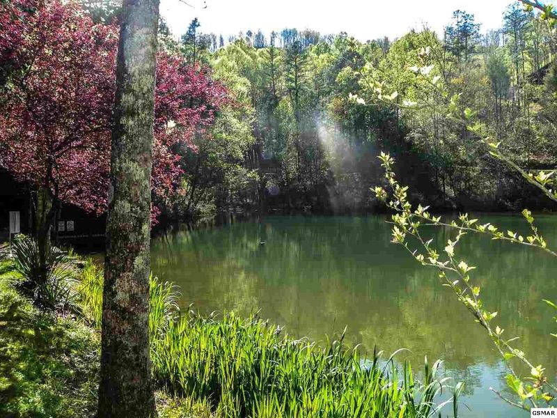 32 Sourwood Way Lot 32, Sevierville, TN 37862